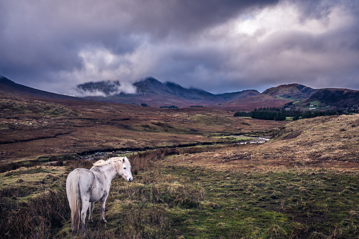 Ireland_Alex_Wallace_Photography_006.jpg