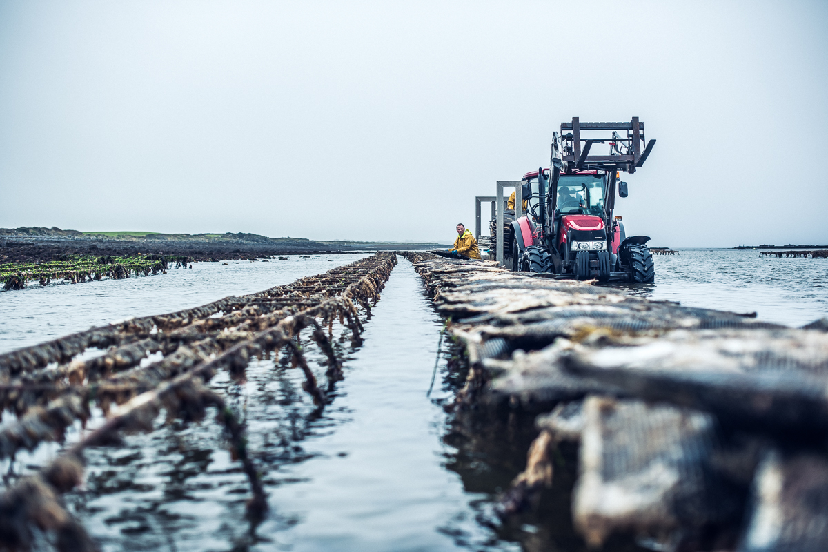 Ireland_Alex_Wallace_Photography_040.jpg