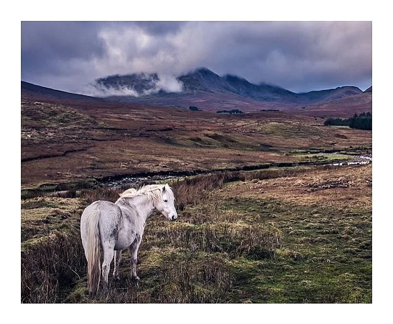 TRAVEL / 10 years ago today I took this. A clich&eacute; but how time flies eh. I was exploring Connemara National Park and the Wild Atlantic Way just for a couple of days. It was special to see that part of the world. Such a short trip yet such an e