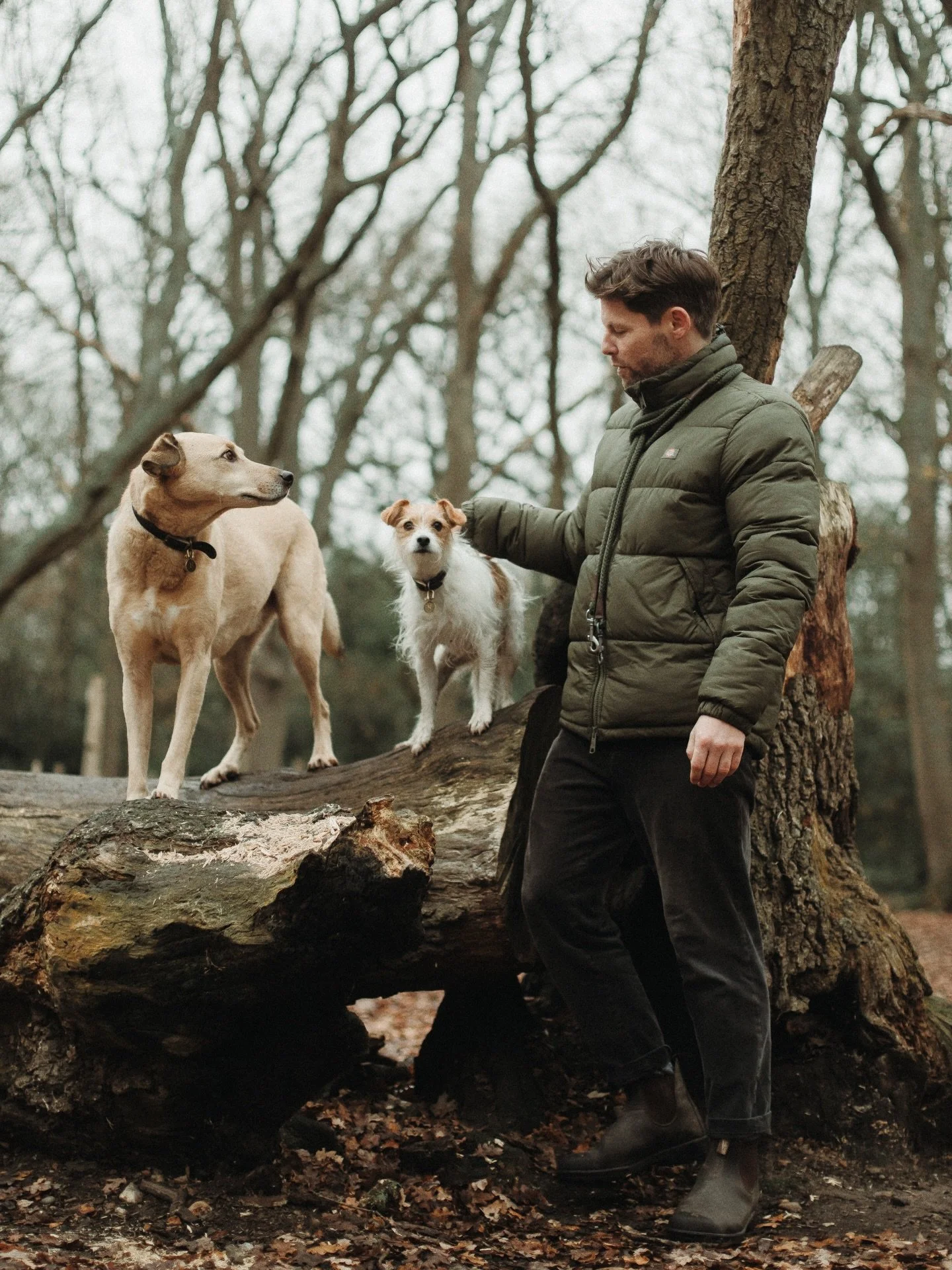 The dawgs et moi. Nice to have photos of all three of us for once whilst producing content for @thedogsbyalex. Thanks @sylwia_newman 📷