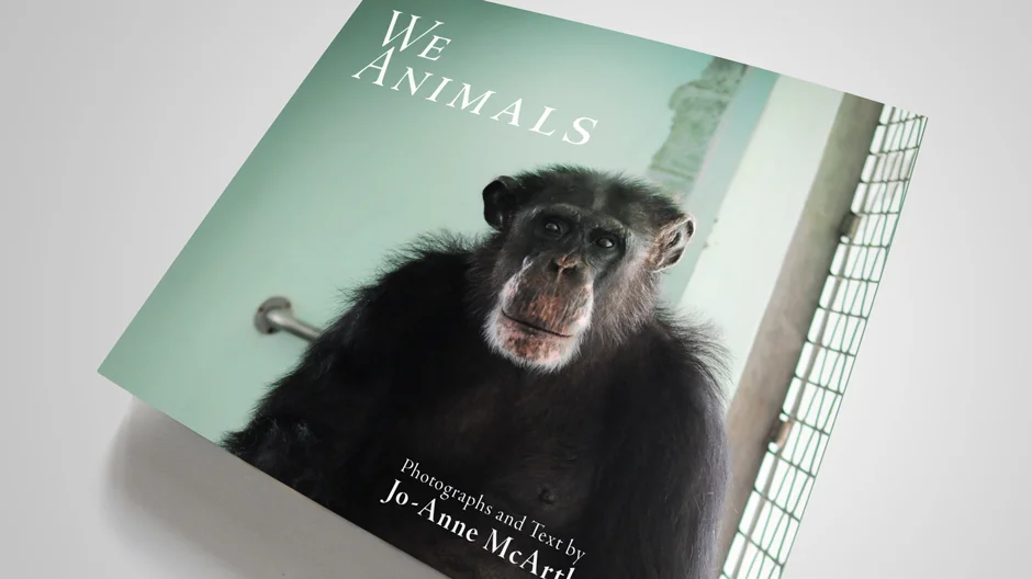 we_animals_01.jpg