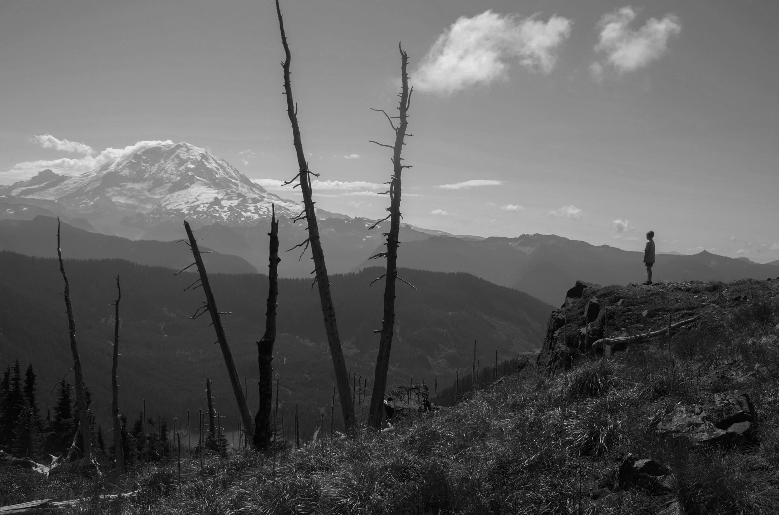 DSC_0706.jpeg