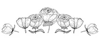 ROSES_SKETCH.jpg
