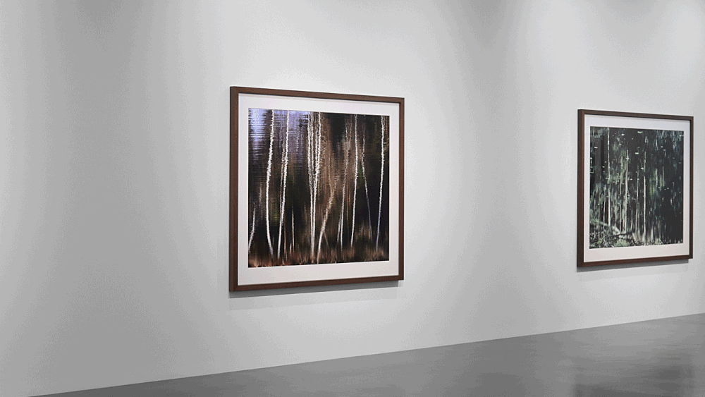 Galerie Nikolaus Ruzicska