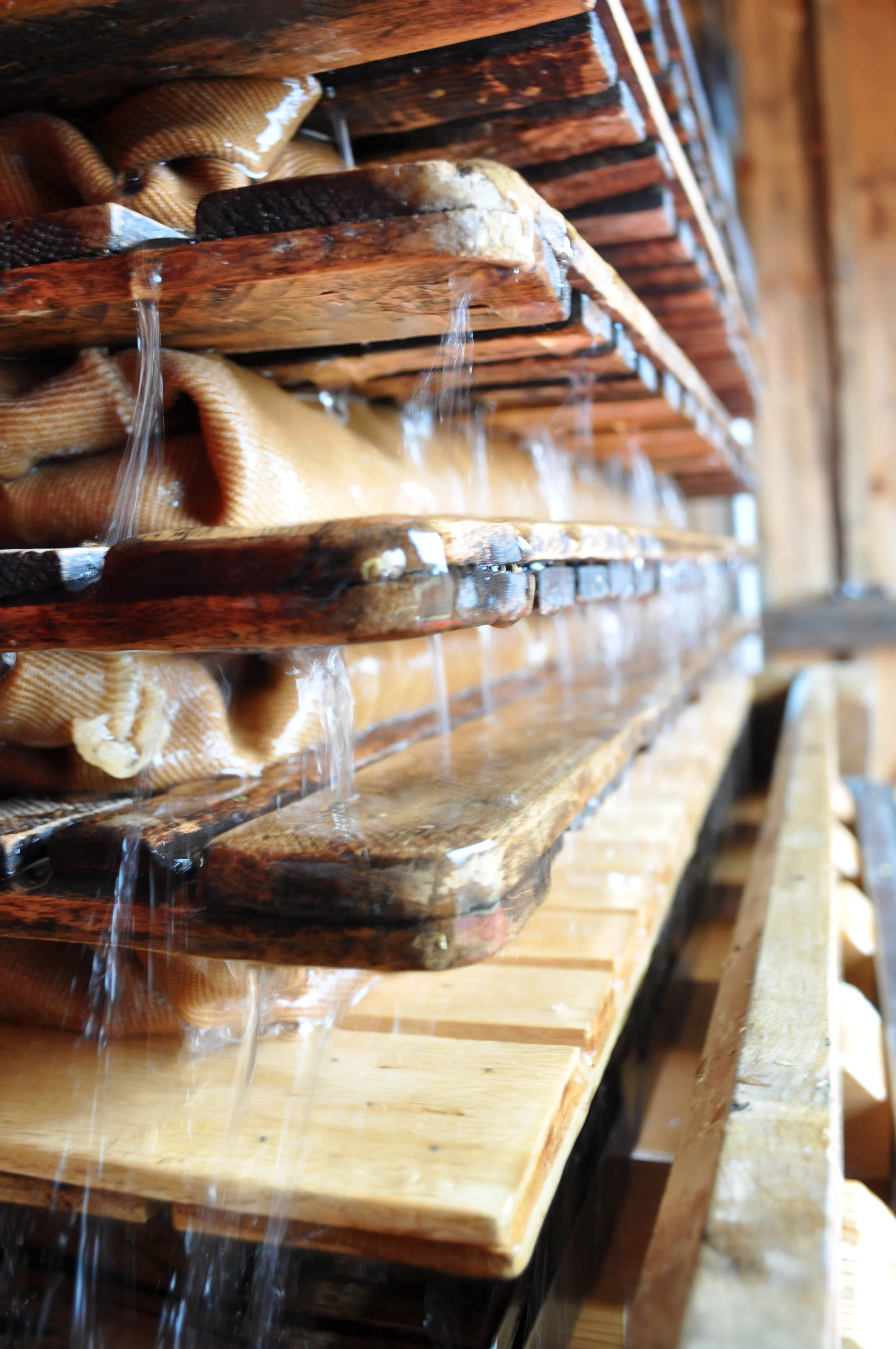Provisions Open-House Tasting Extravaganza!