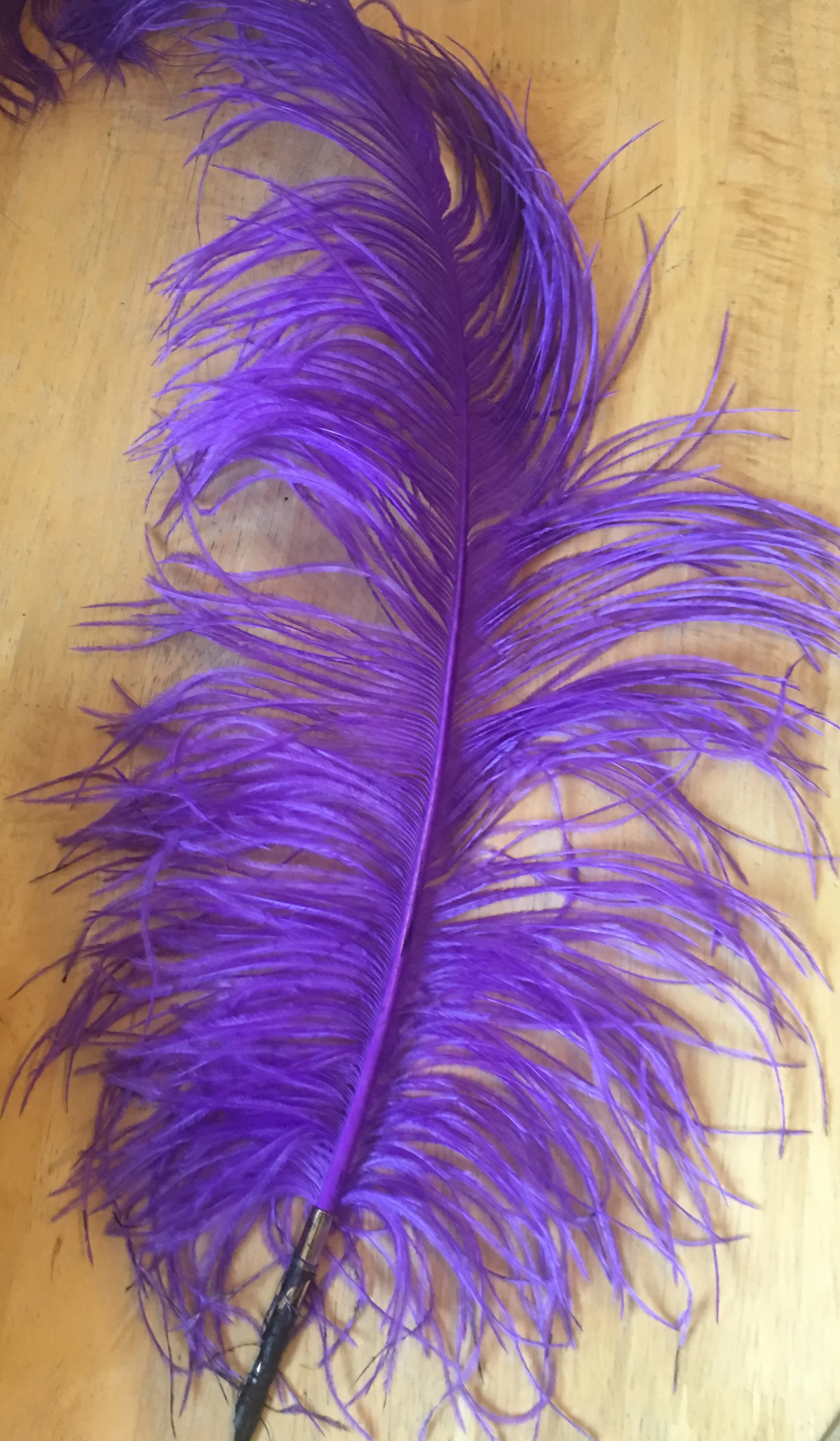 Ostrich+Feather+Quill.jpeg