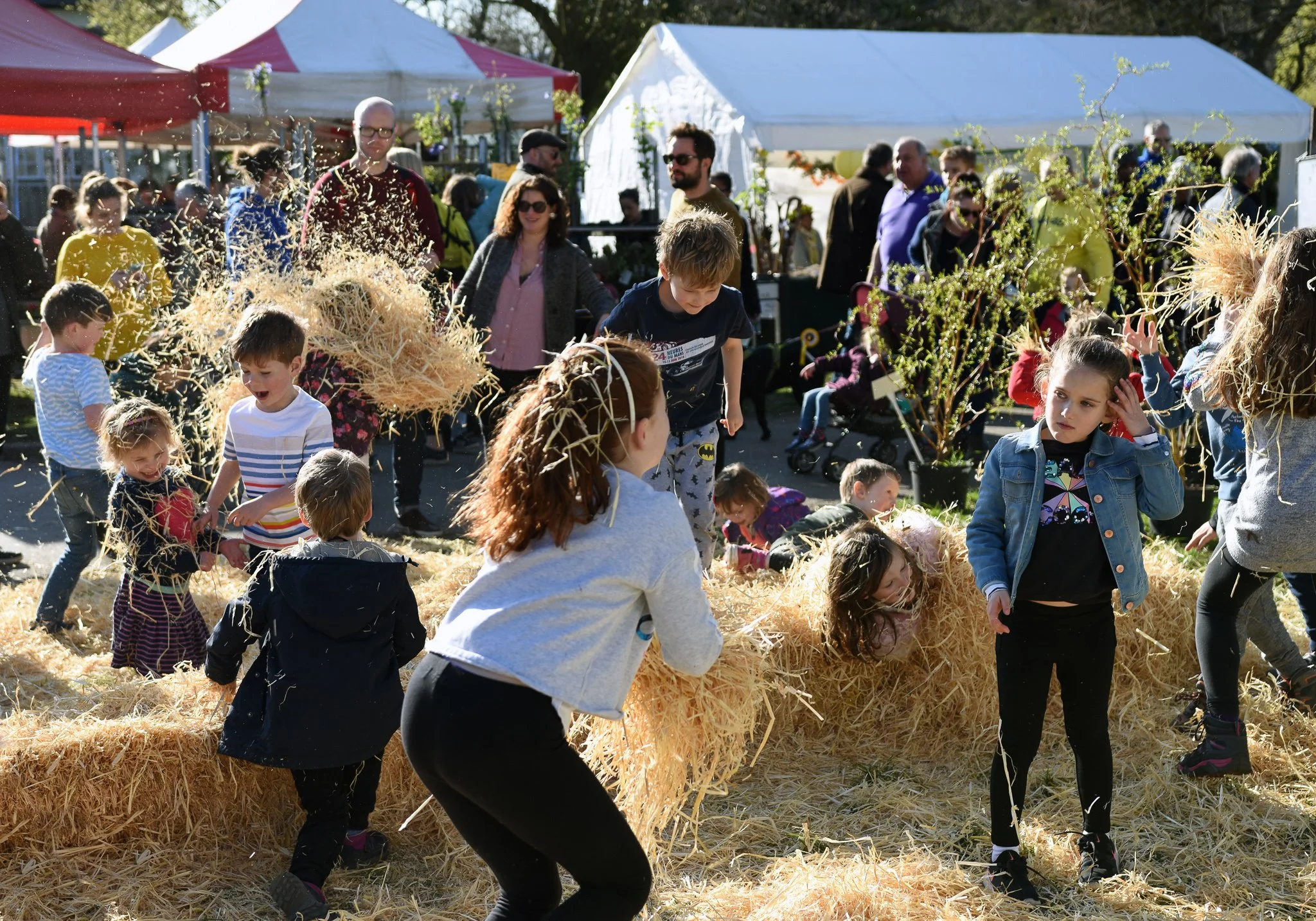 The Green straw fight.jpg