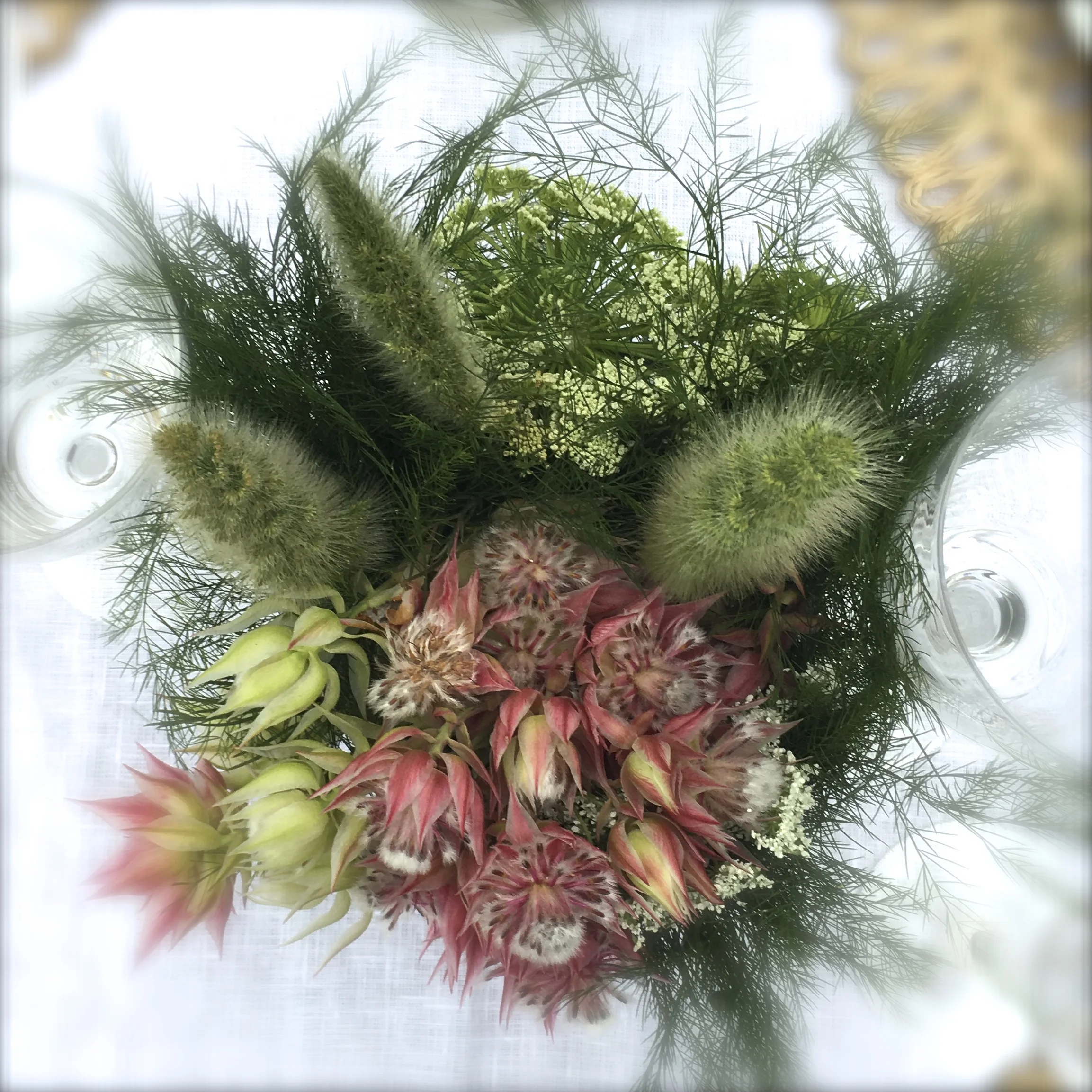 Gemma floral.jpg