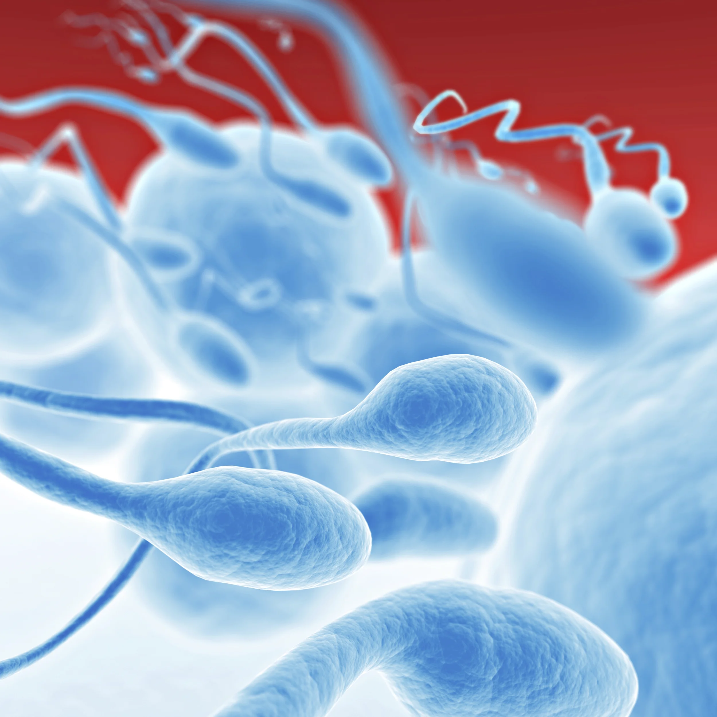 sperm-semen-testosterone-problems.jpg