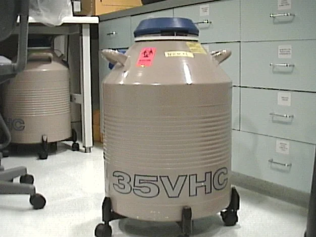 egg-freezing-cost-efffectiveness.jpg