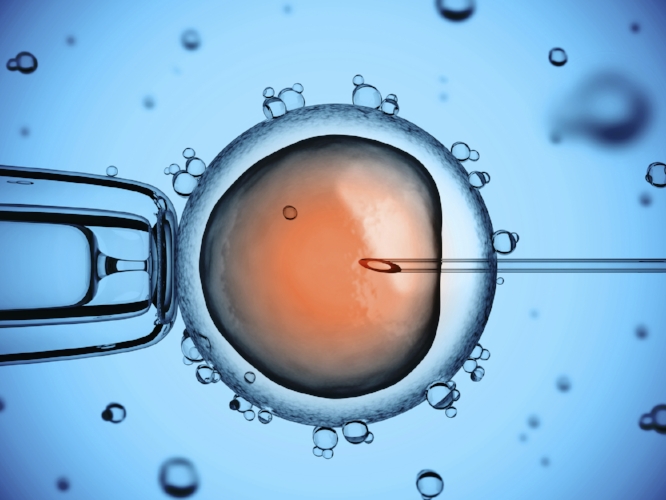 Miscarriage after IVF may mean a better chance for future baby