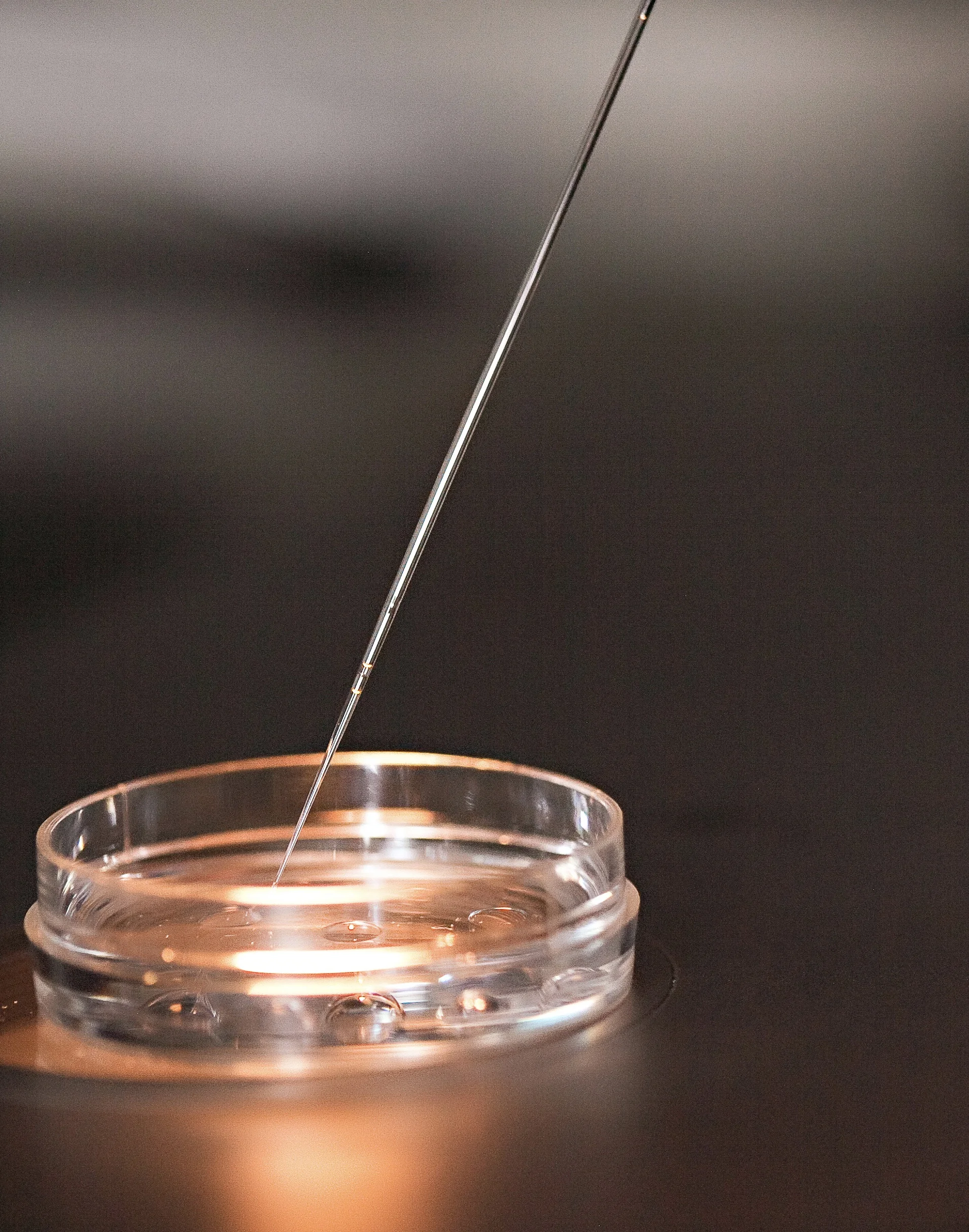 Delaware joins New Jersey and other states with IVF mandates