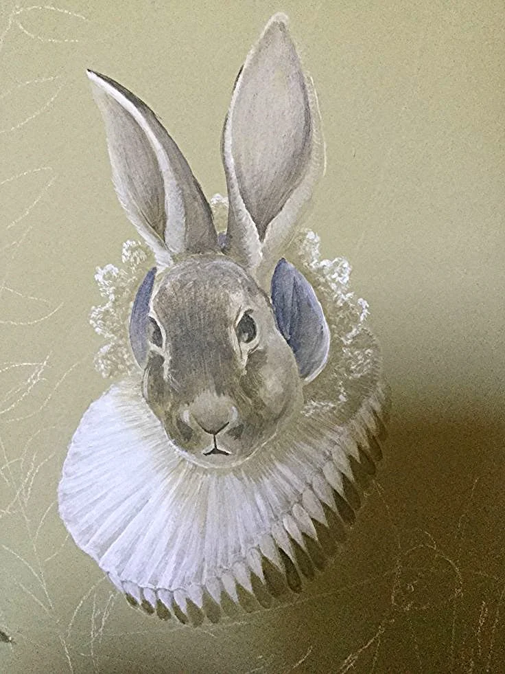 rabbit elizabethan collar