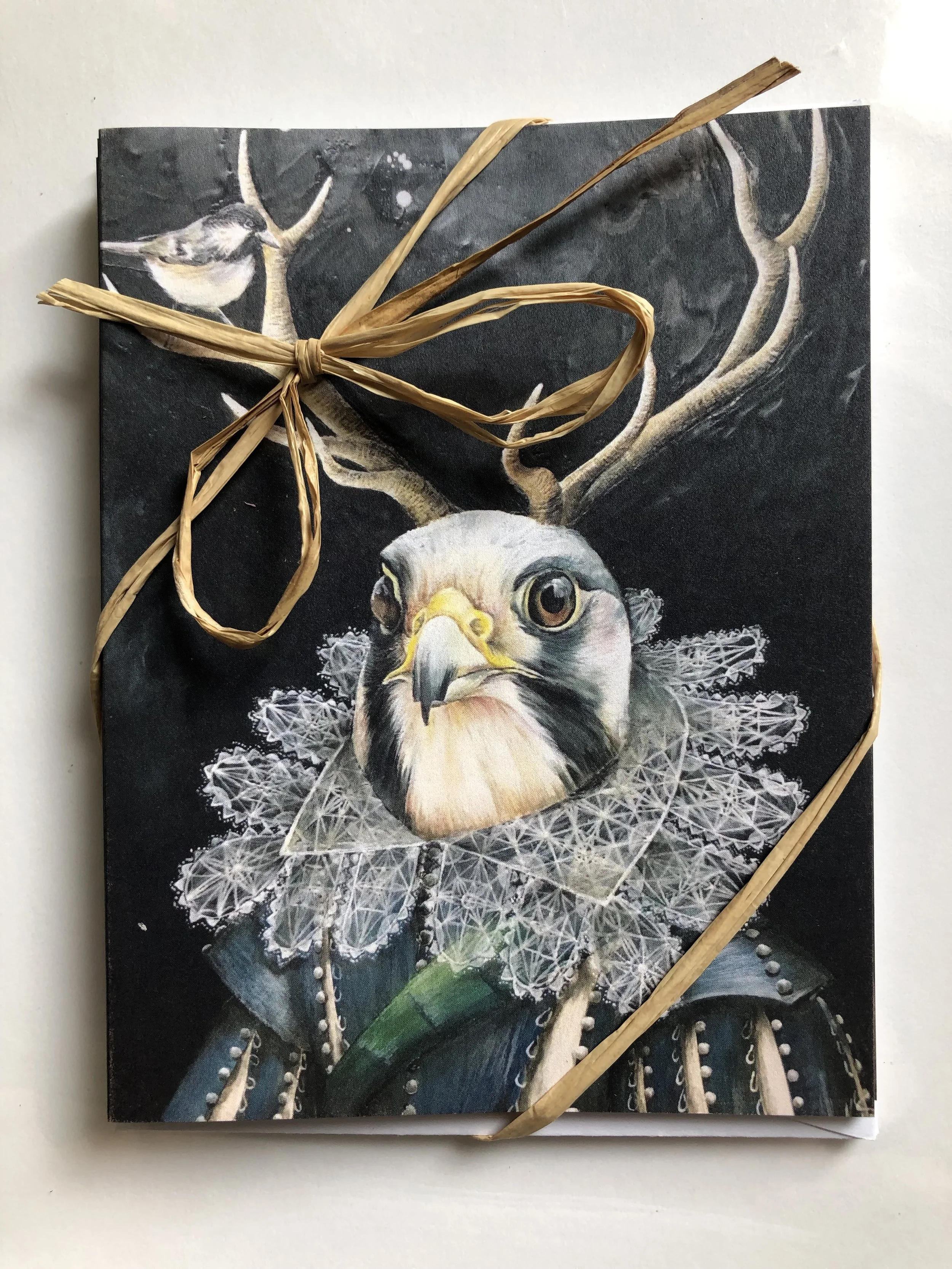 Greeting Card Gift Pack - Birds