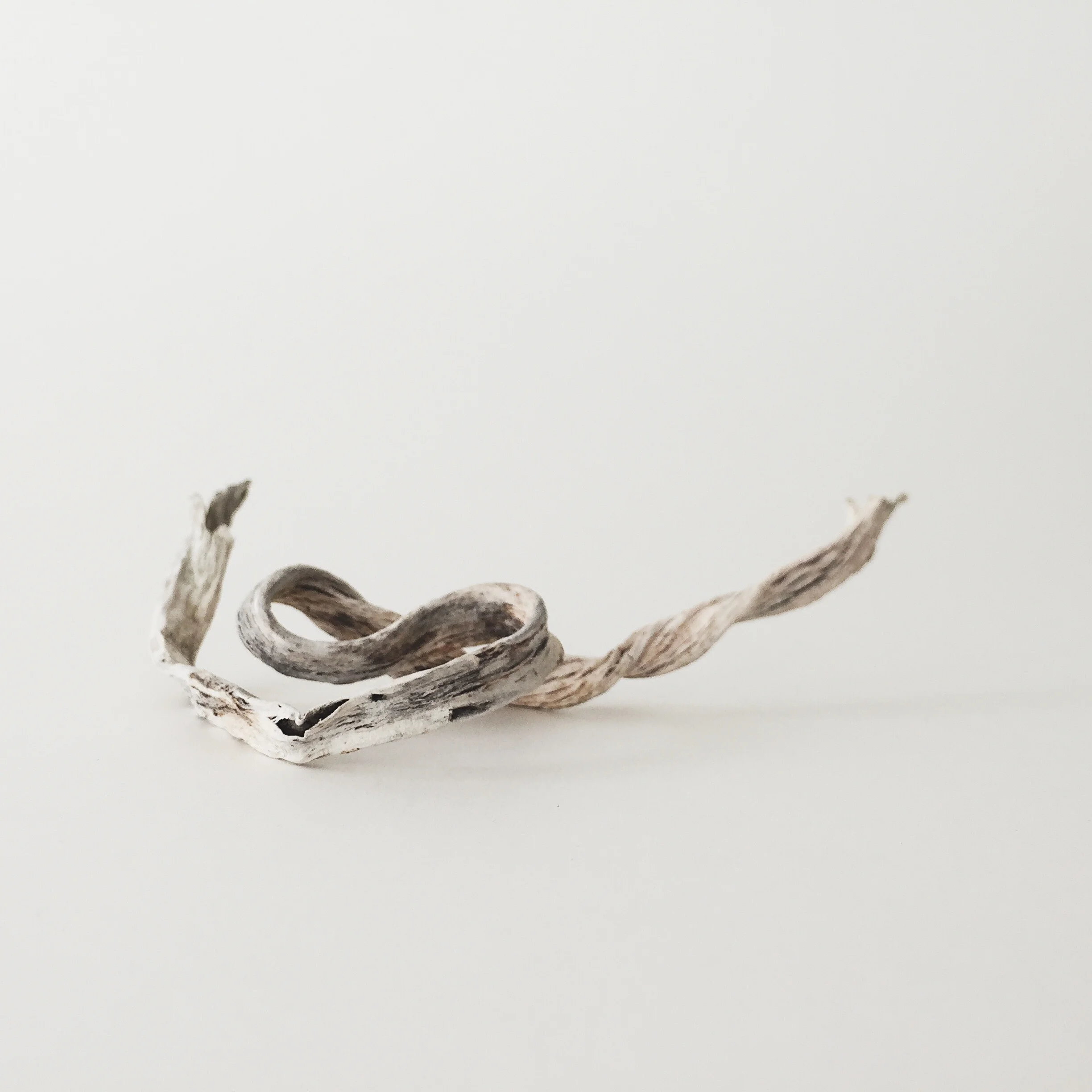 dried-seaweed.jpg
