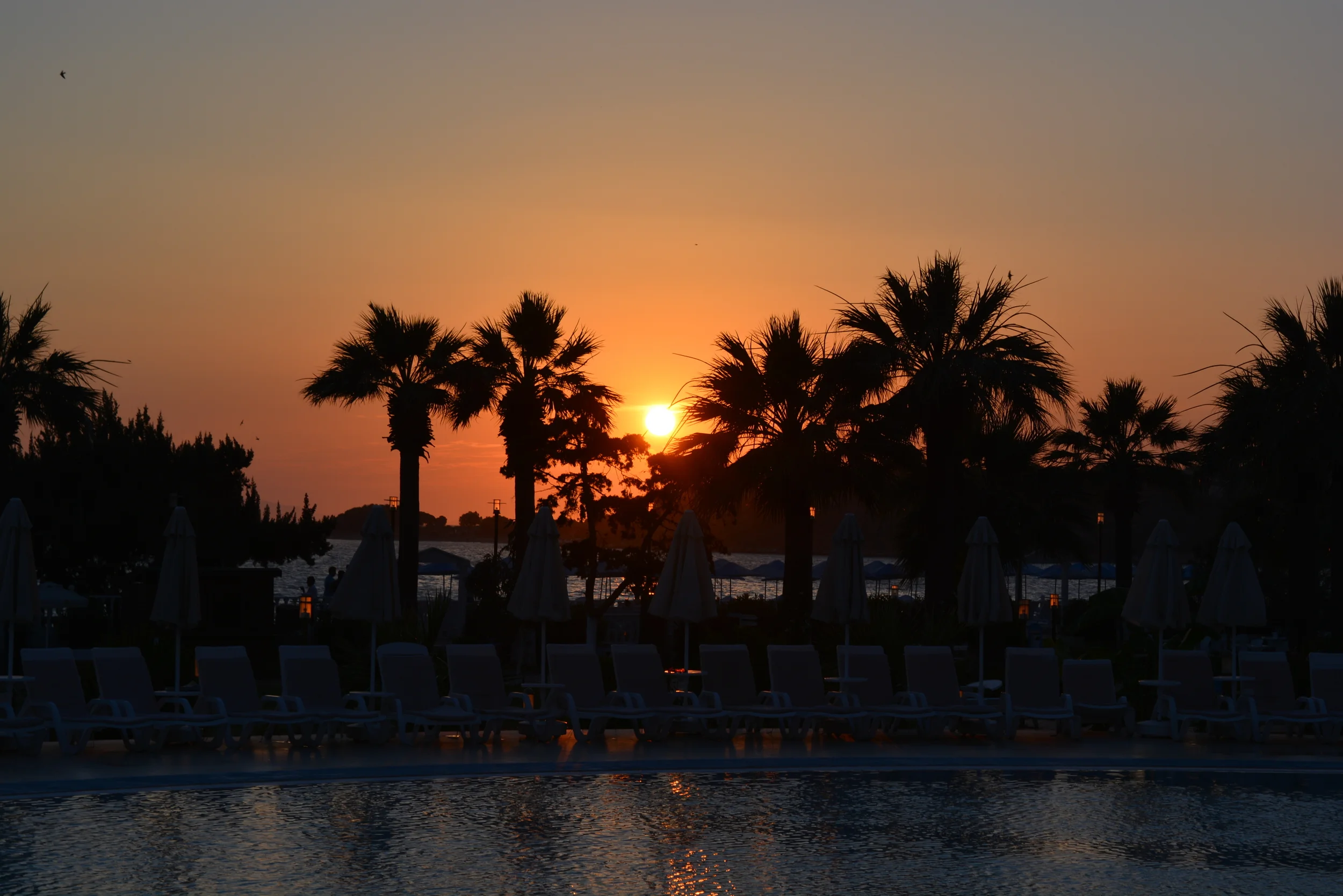 Sugestii pentru luna de miere 