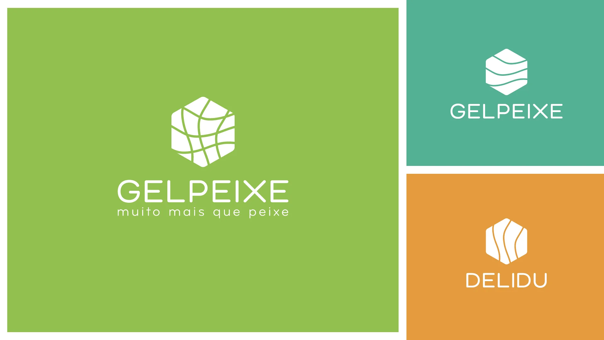2_GELPEIXE - ID#2.jpg