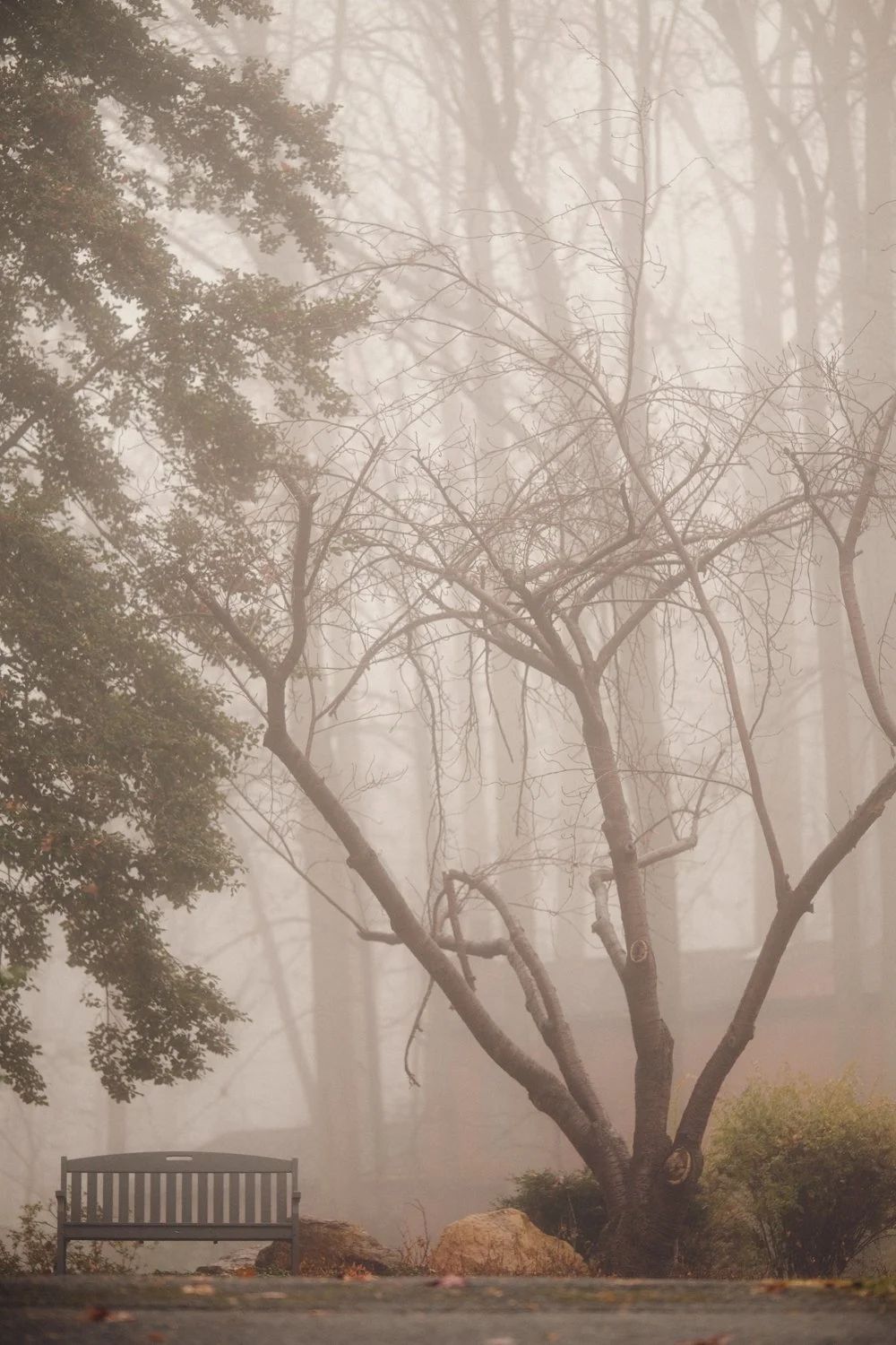  Fujifilm X-T3, Viltrox 75mm f/1.2 