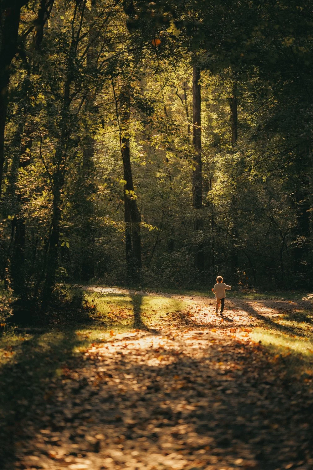  Fujifilm X-T3, Viltrox 75mm f/1.2 