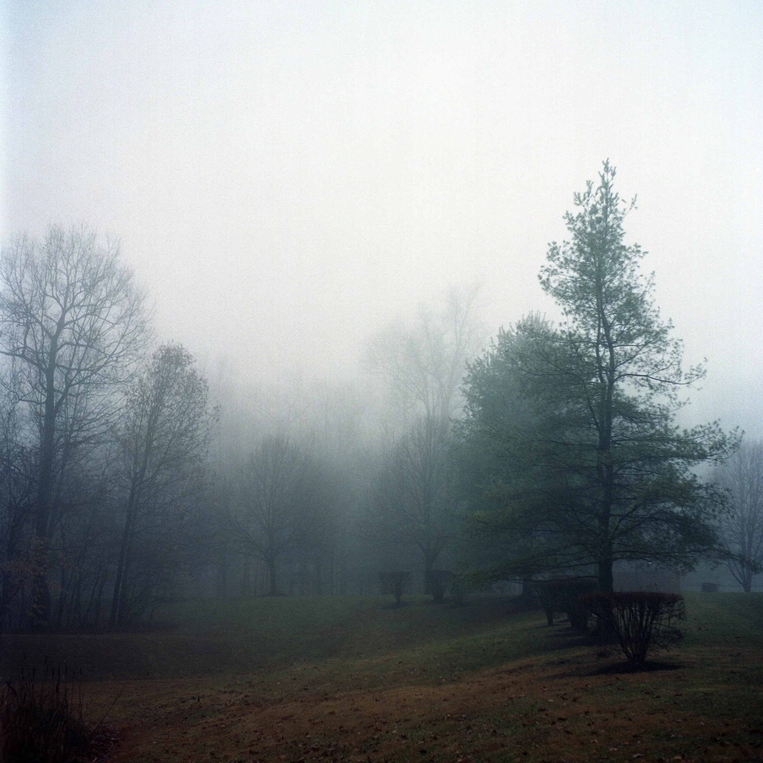  Yashica Mat-124G, expired Fuji Pro 800Z 