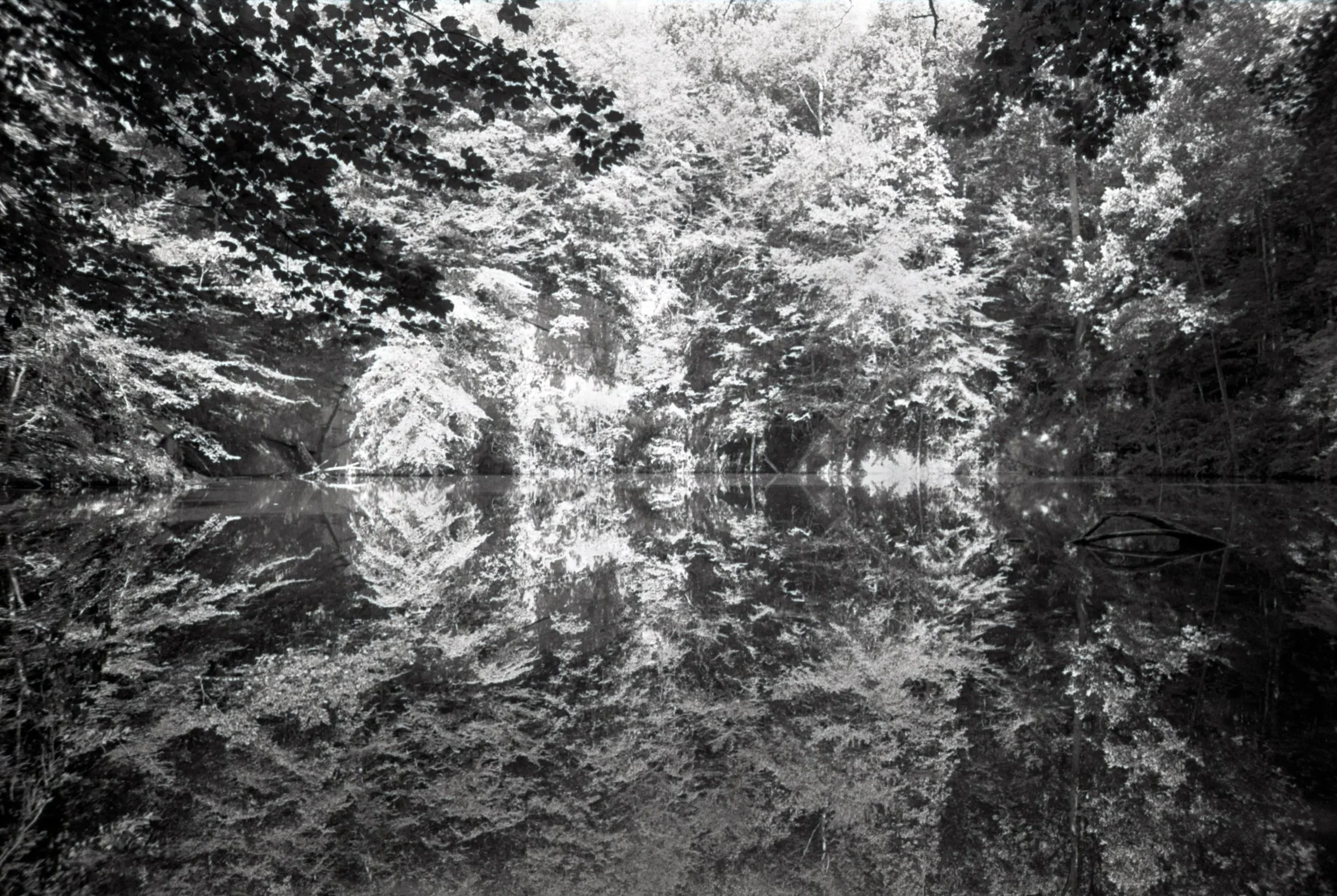  Pentax Spotmatic F, Kodak Tri-X 400 