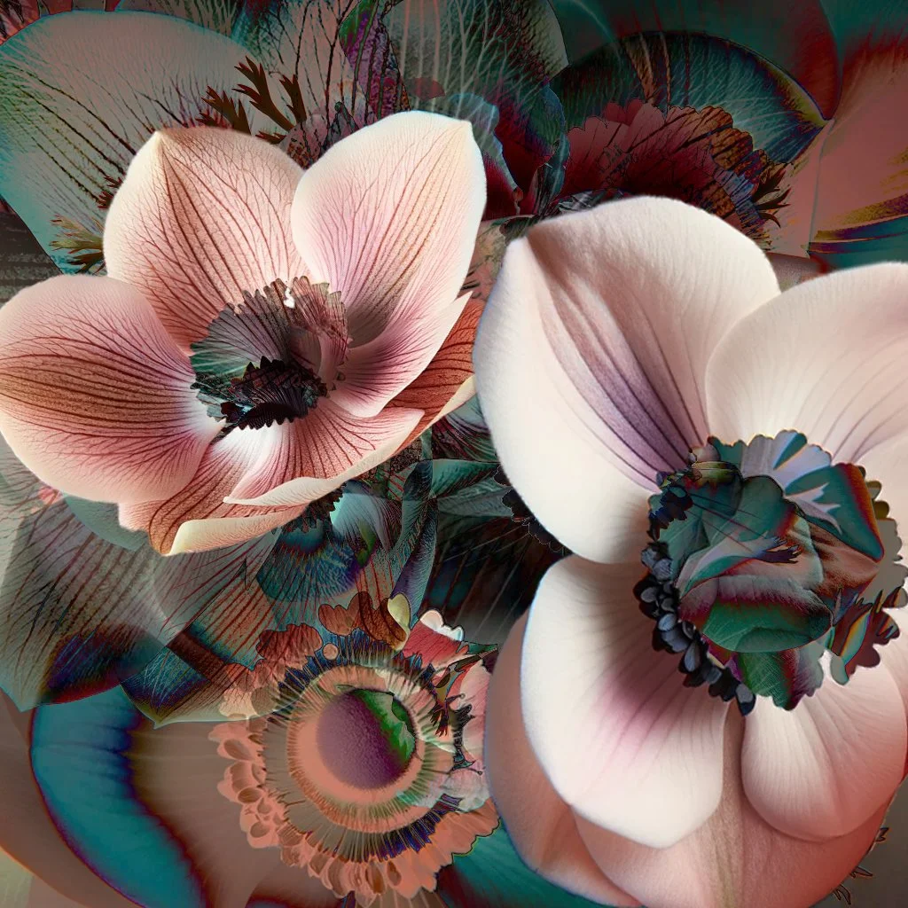 anemone 2.jpg
