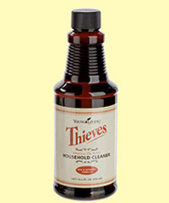 thieves2.jpg