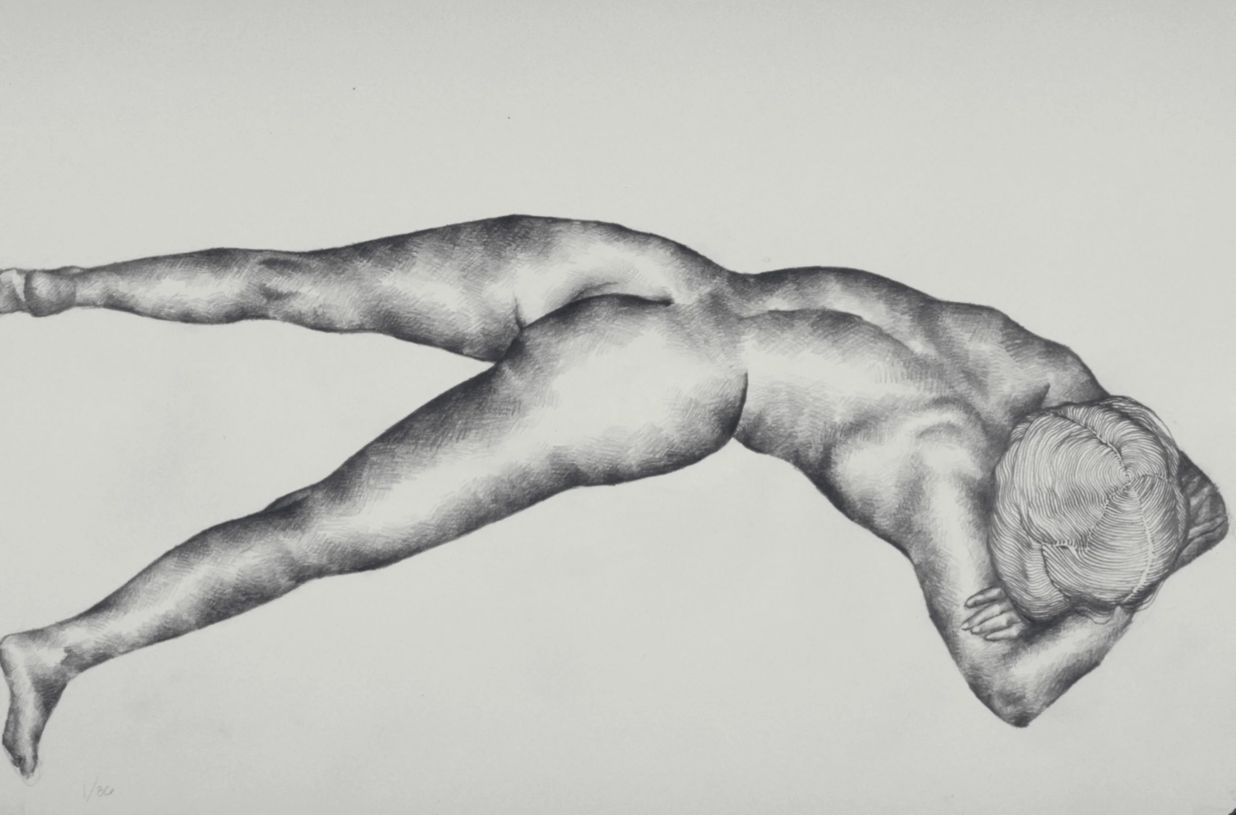 Figure (after Weston)