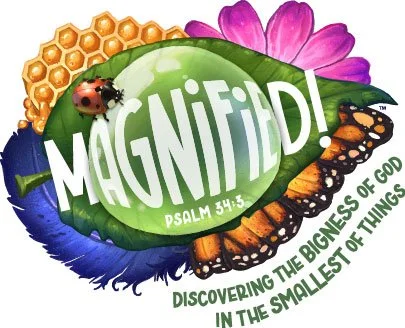 Vacation Bible School: "Magnified! Discovering the Bigness of God in the Smallest of Things"