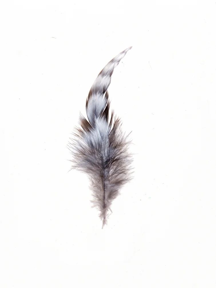 Untitled-7etsySEVEN.jpg