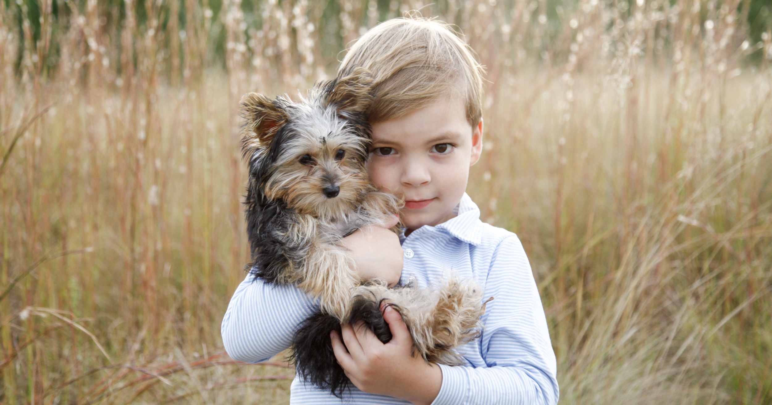 Screenshot 2025-07-13 at 12.05.38 PM.png