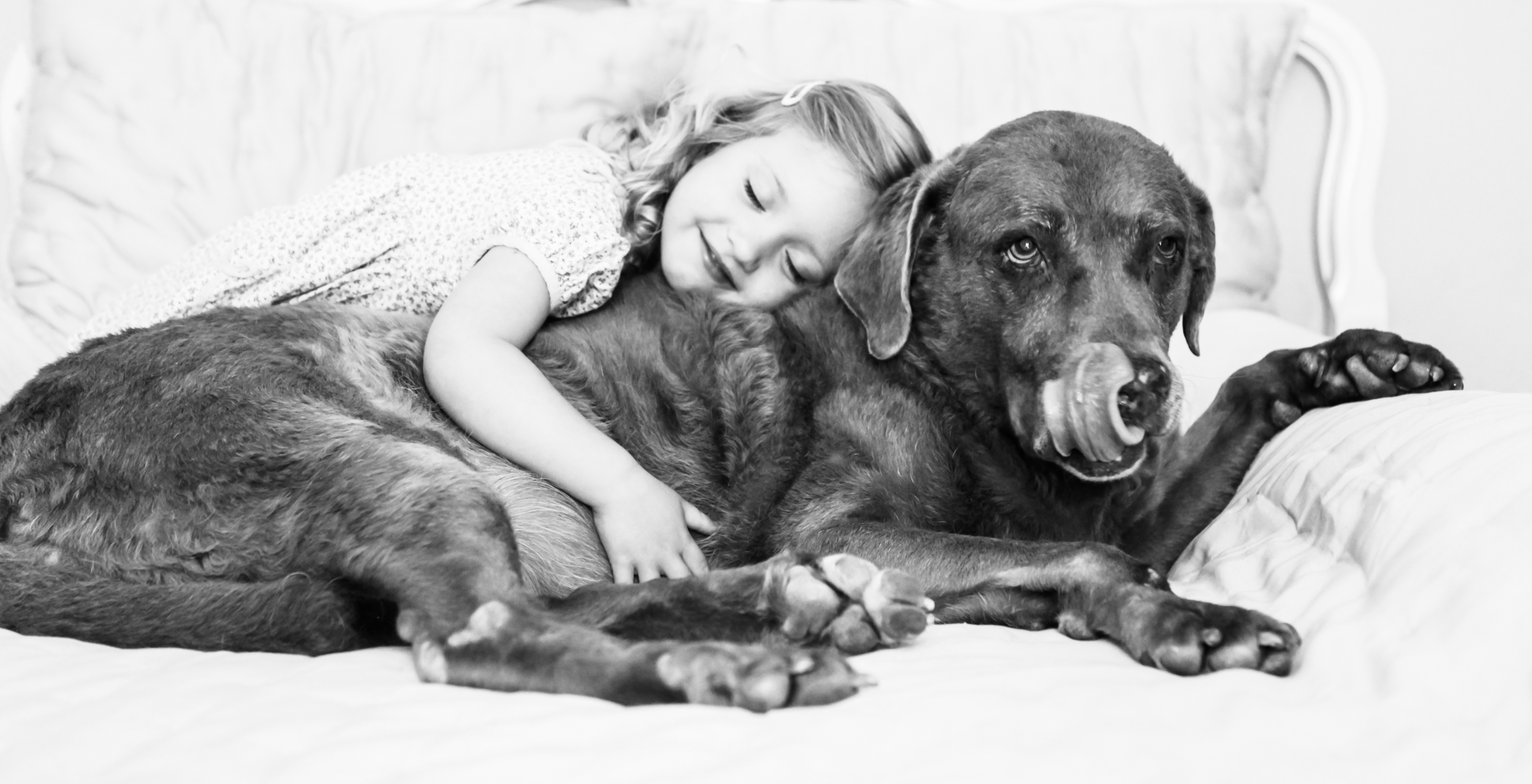 Screenshot 2025-07-13 at 12.04.34 PM.png