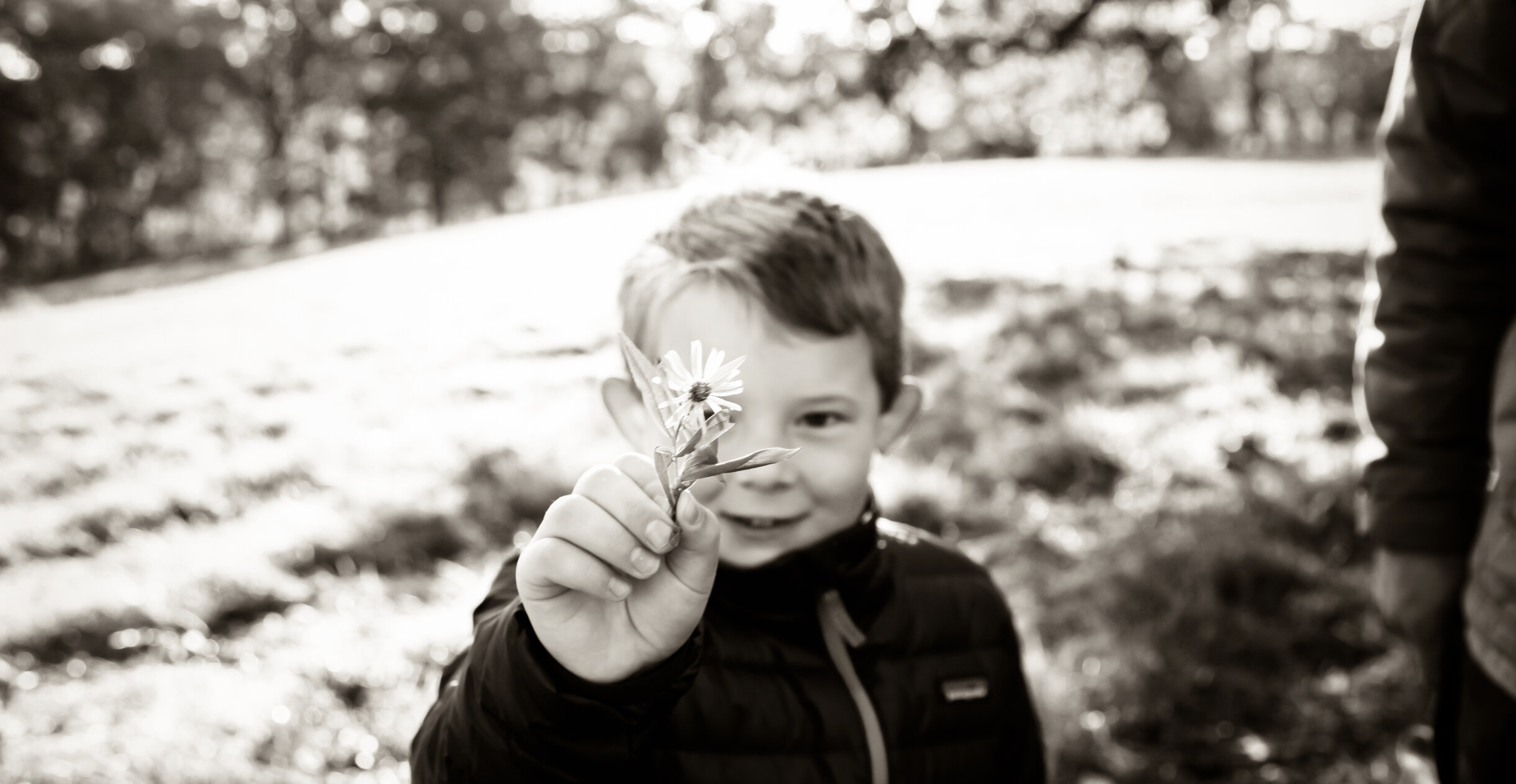 Screenshot 2025-07-13 at 12.00.55 PM.png