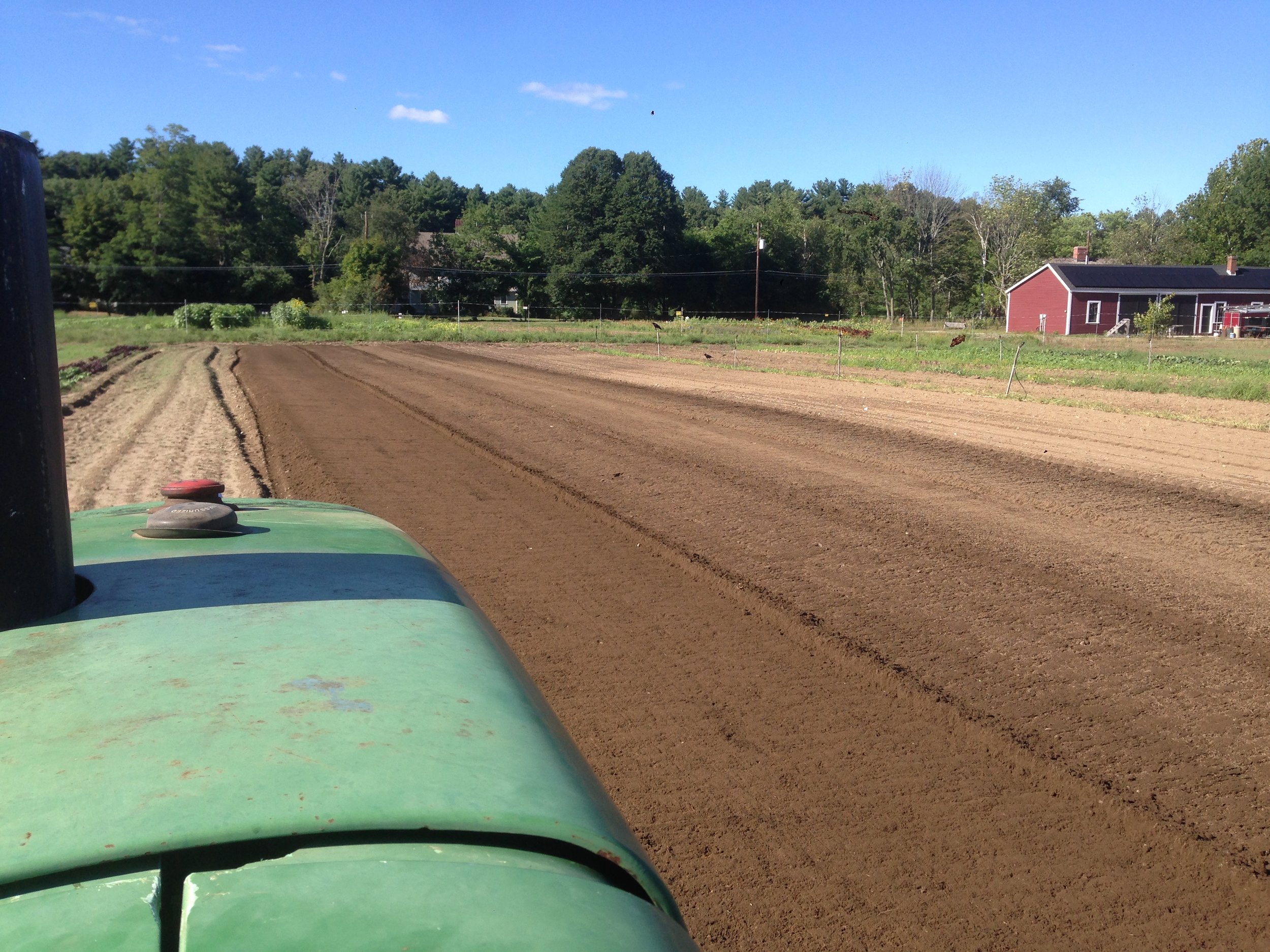 Making beds for seeding fall greens and planting spinach this week