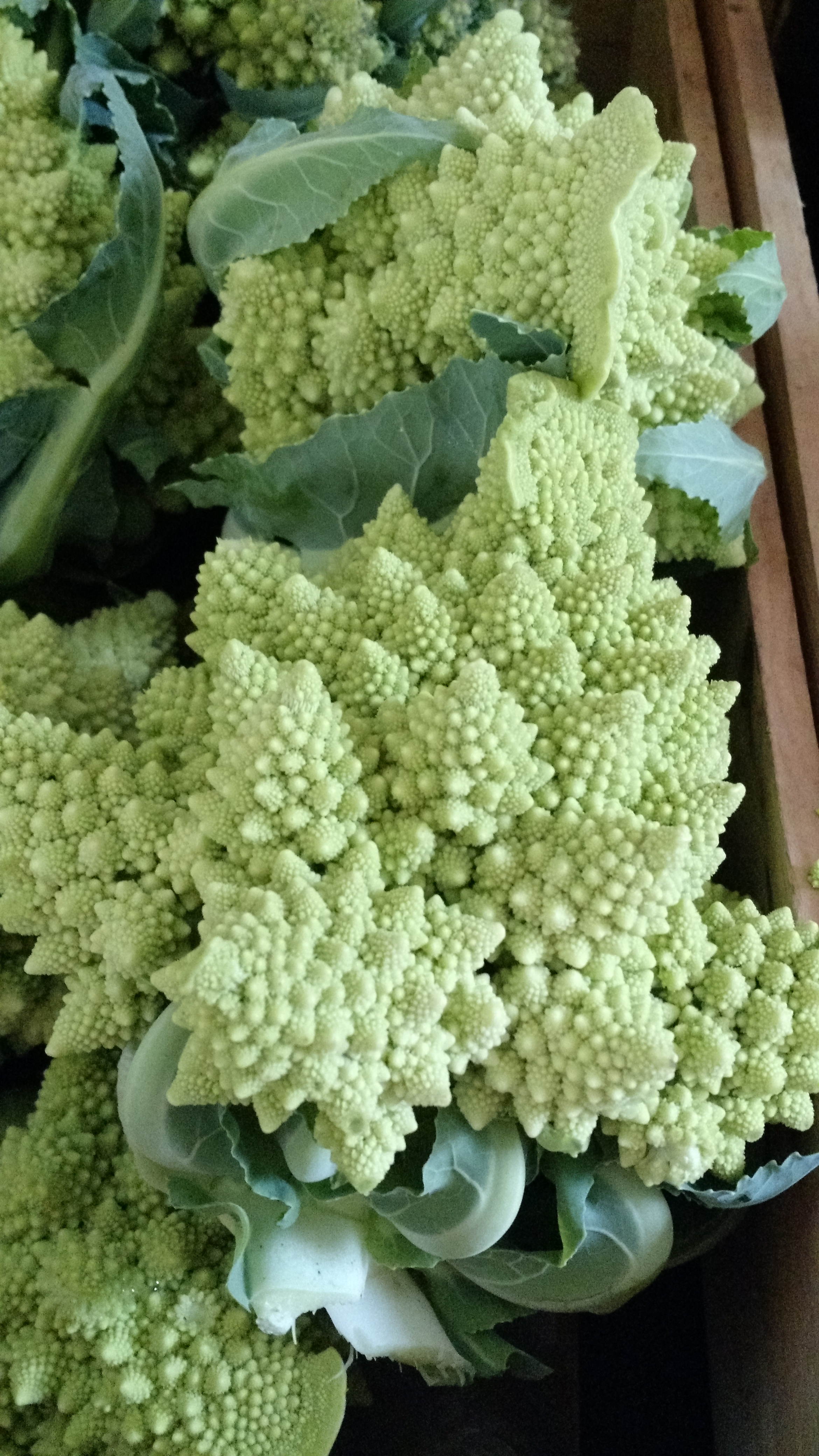 Romanesco cauliflower