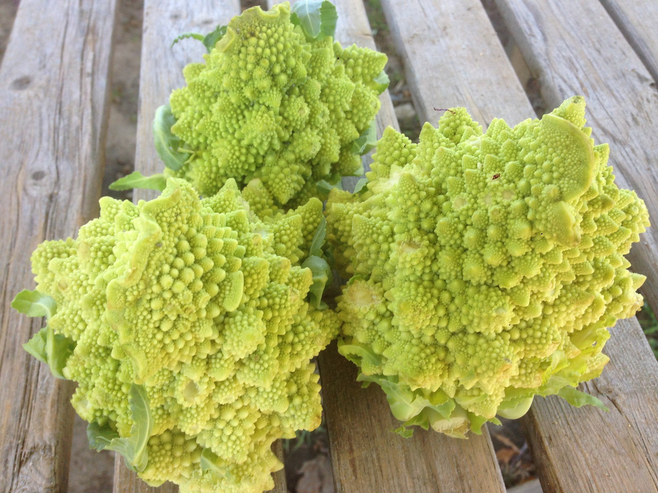 Romanesco cauliflower