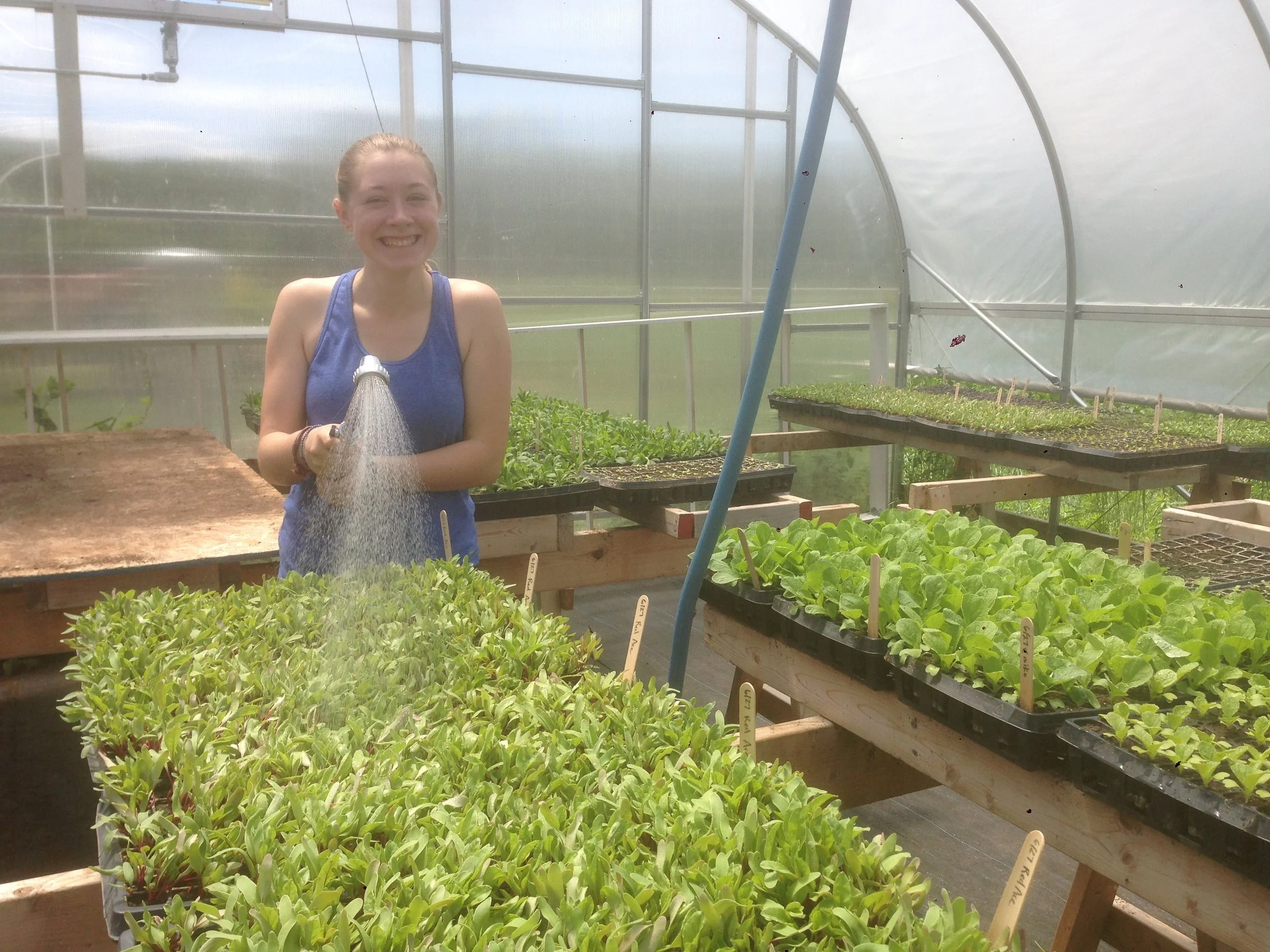 Emma watering the greenhouse
