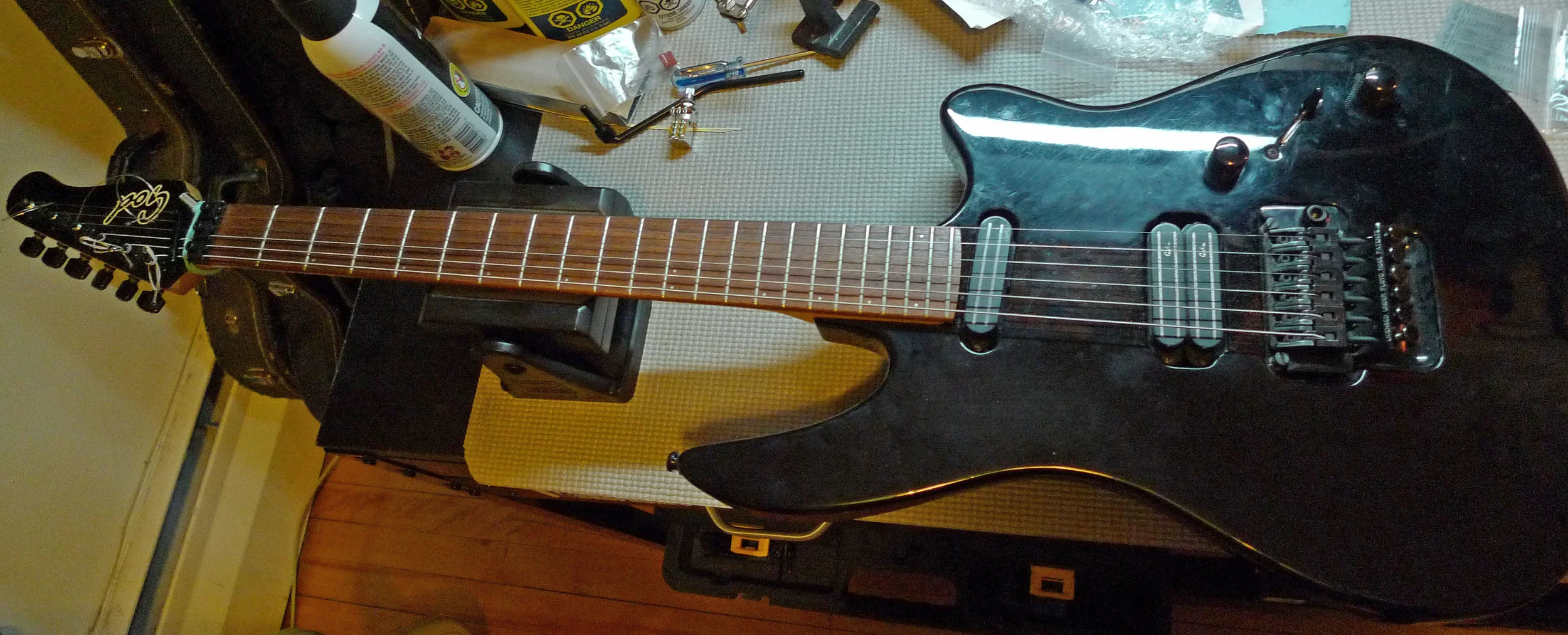 Godin1.jpg