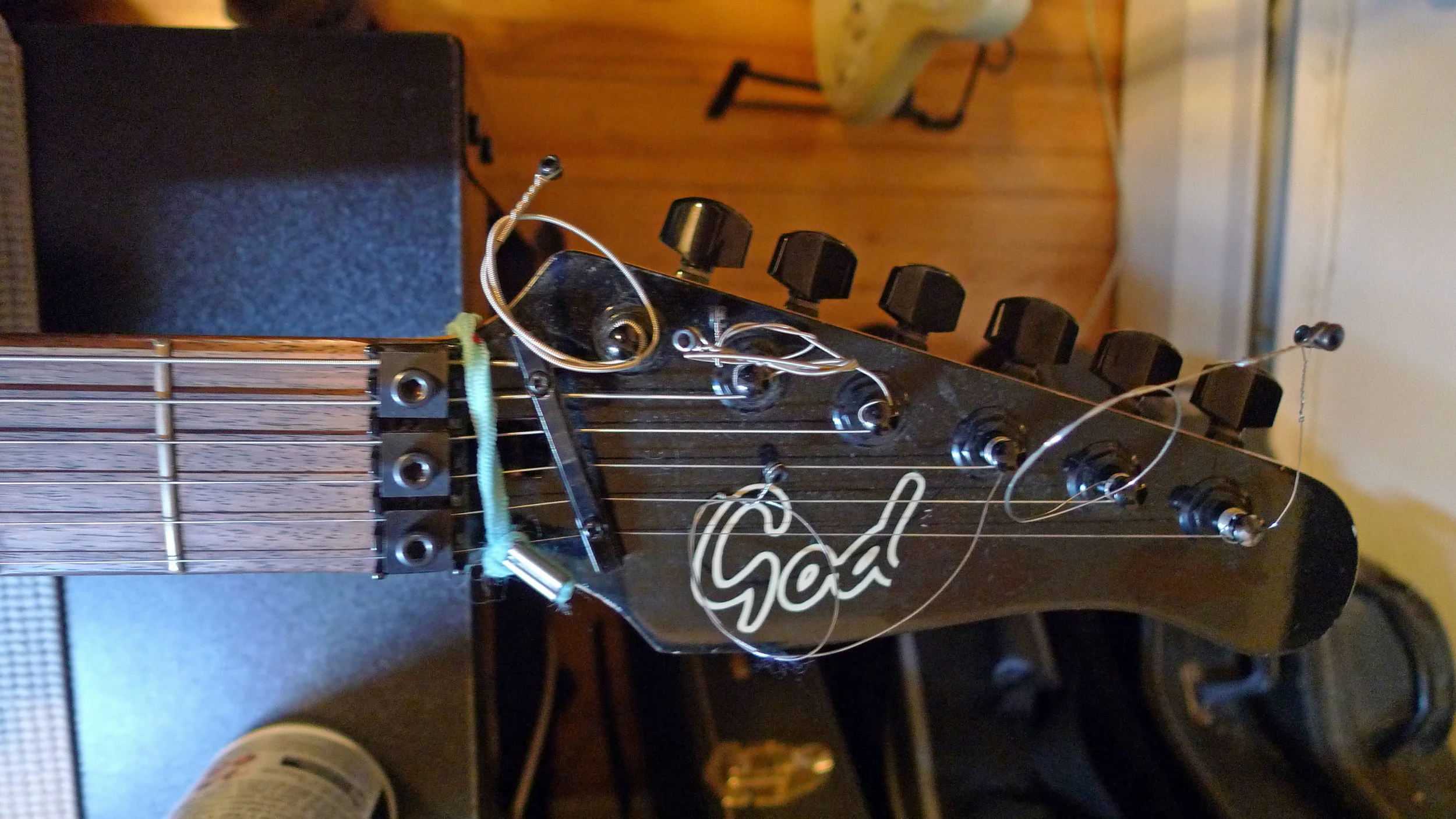 Godin3.jpg