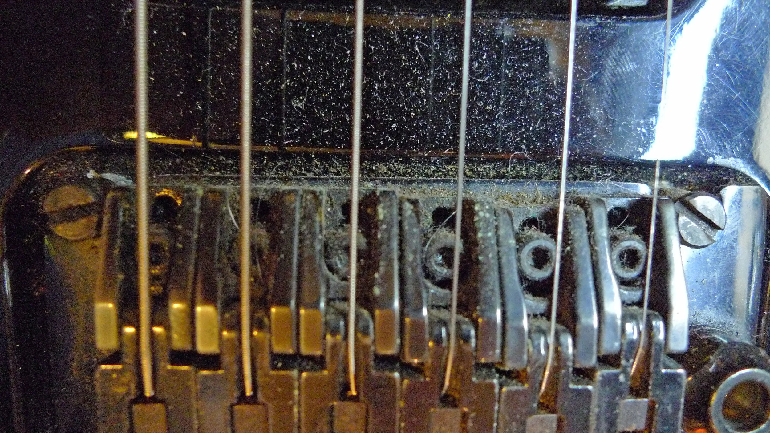 Godin4.jpg