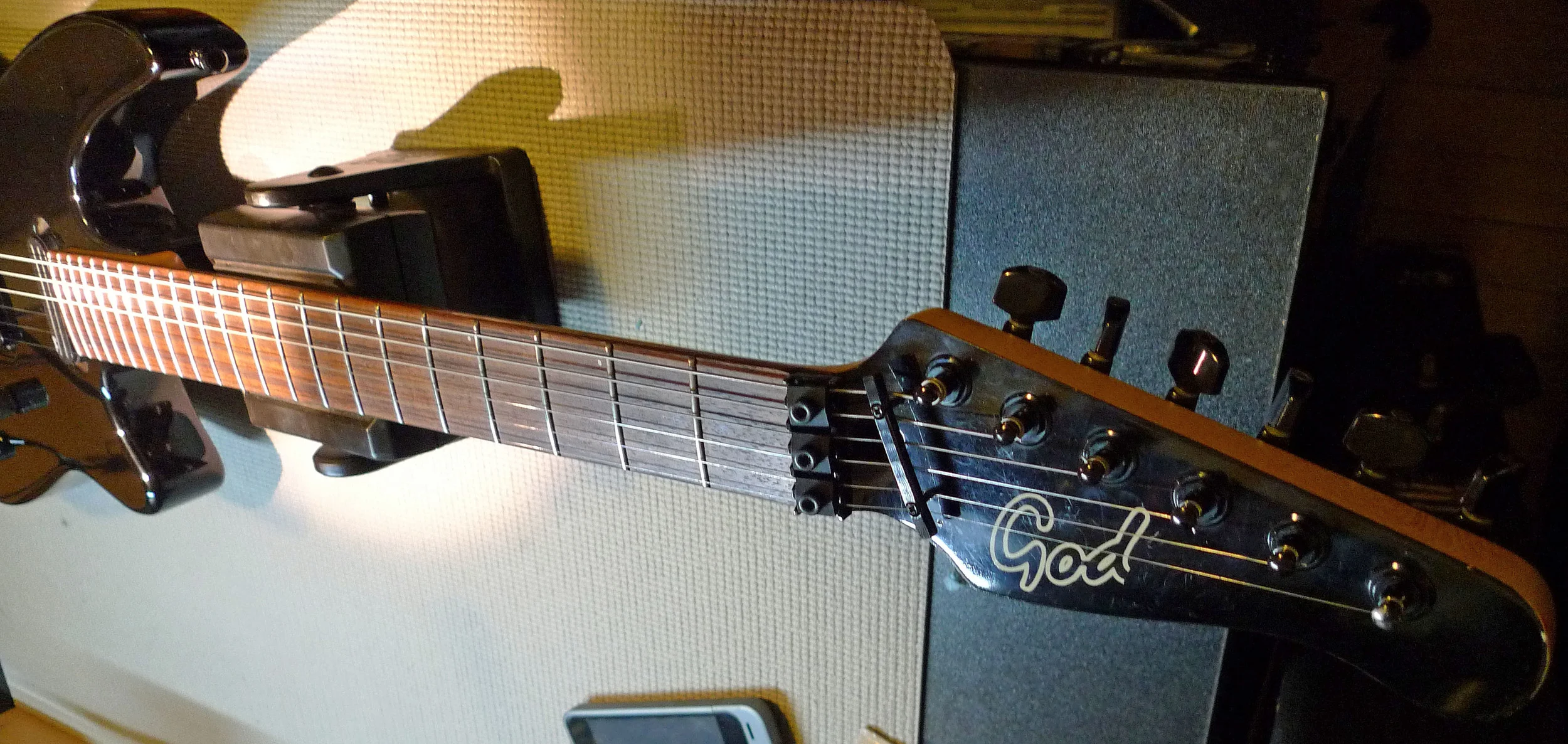 Godin7.jpg