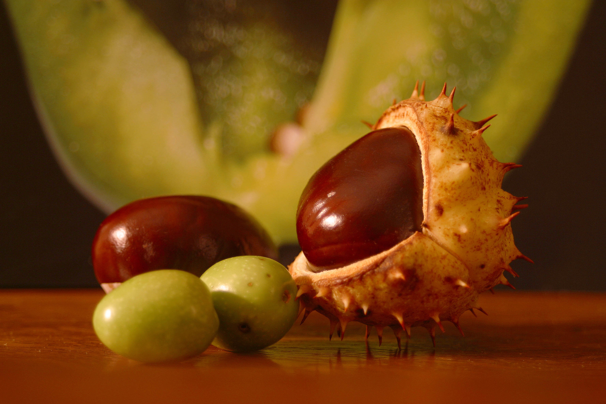 chestnuts and olives.jpg