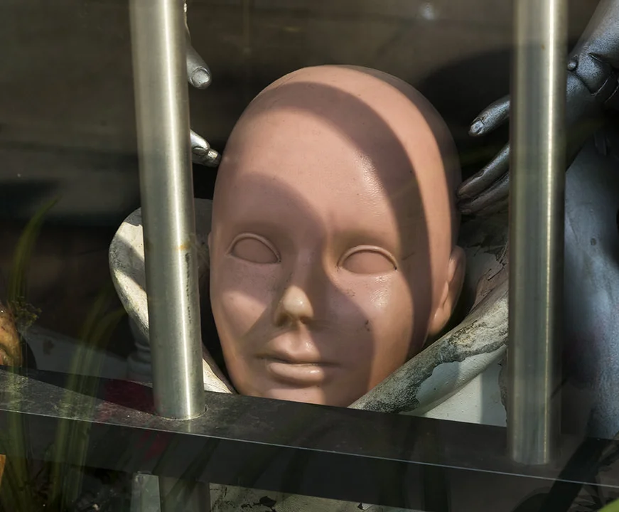 mind control for website.jpg