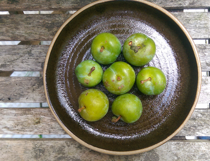  Greengages 