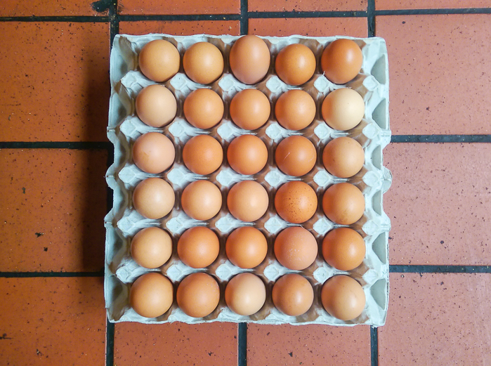  Biodynamic eggs from Brambletye in Sussex 