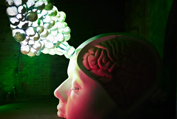 External Brain by Agatha Haines