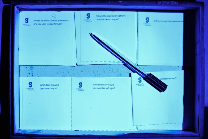 Brain Questionnaires