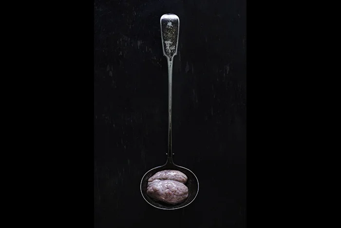 brainspoon.jpg