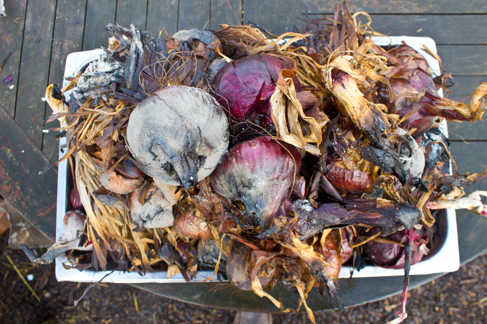  Onions roasted in embers 