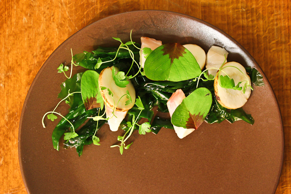  Sea bass, oxalis, chervil root, sea lettuce 